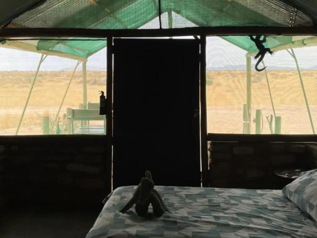 Camp Gecko - Private Nature Reserve; Tented Camp And Campsite Solitaire Εξωτερικό φωτογραφία