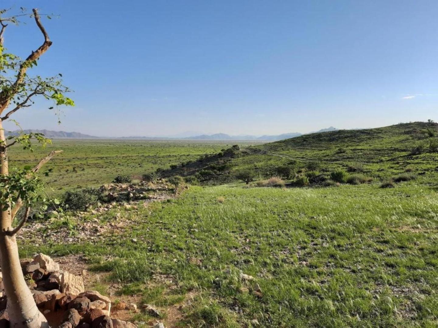 Camp Gecko - Private Nature Reserve; Tented Camp And Campsite Solitaire Εξωτερικό φωτογραφία