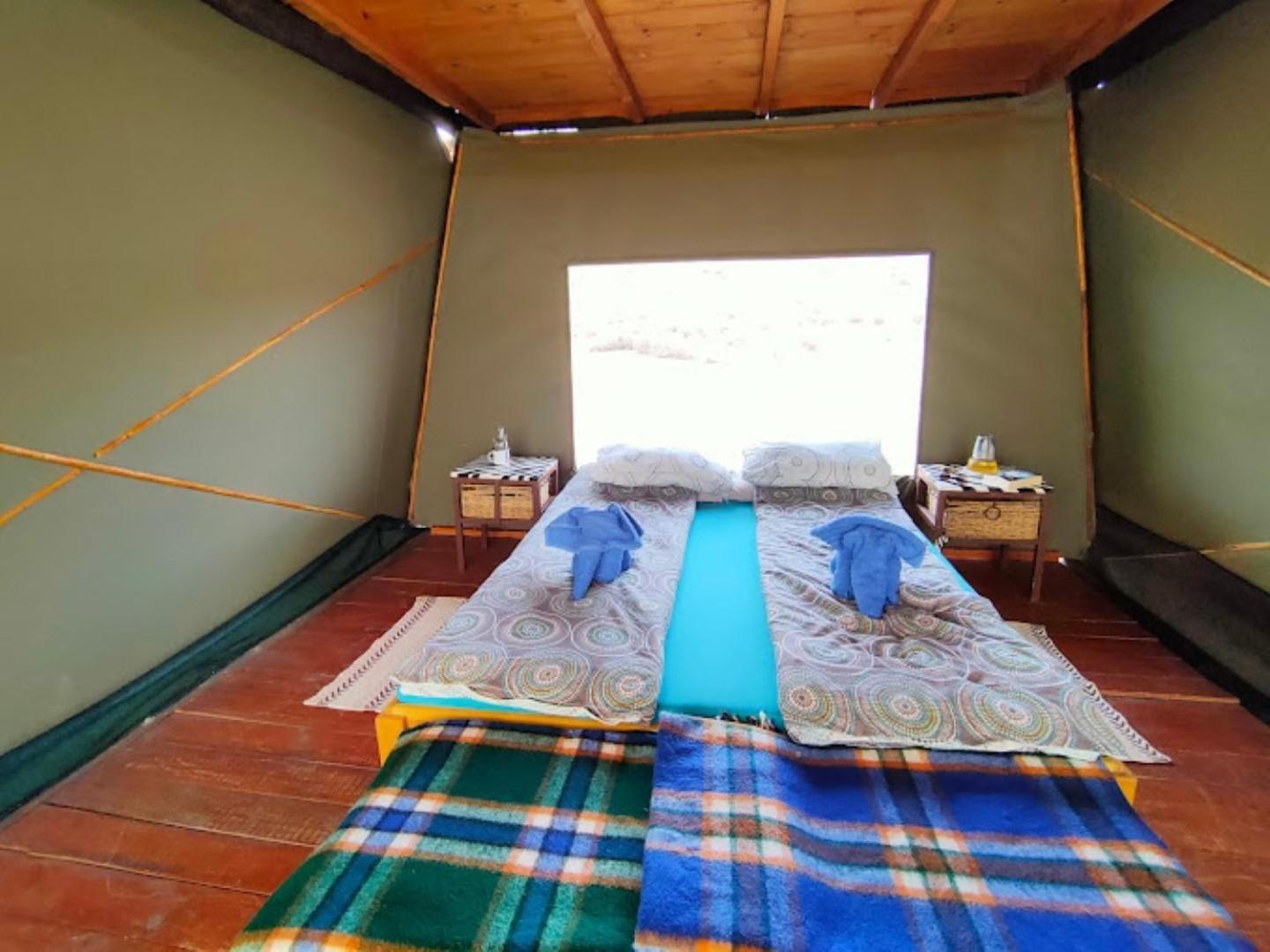 Camp Gecko - Private Nature Reserve; Tented Camp And Campsite Solitaire Εξωτερικό φωτογραφία