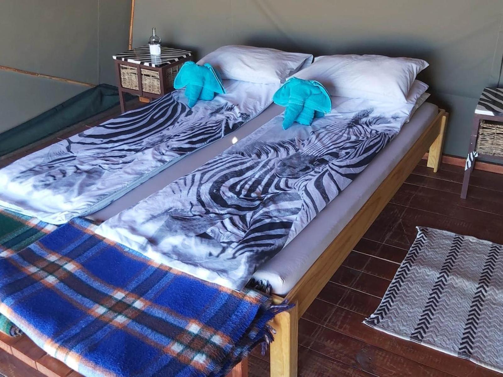 Camp Gecko - Private Nature Reserve; Tented Camp And Campsite Solitaire Εξωτερικό φωτογραφία